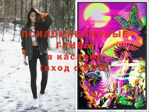 ECSTASY Дмитриев