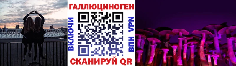Купить закладки  Омутнинск  Галлюциногенные грибы GOLDEN TEACHER 